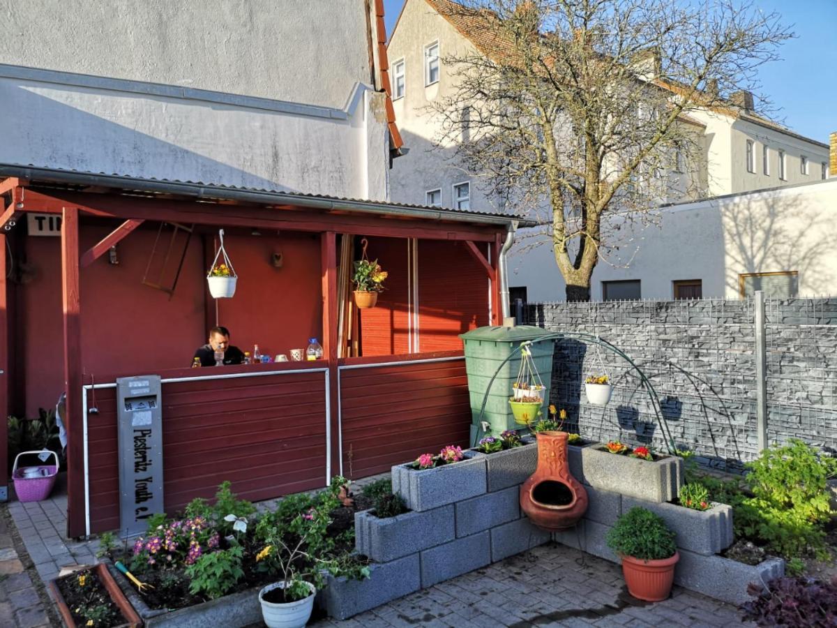 Wittenberg Pension Zur Gartenstadt מראה חיצוני תמונה
